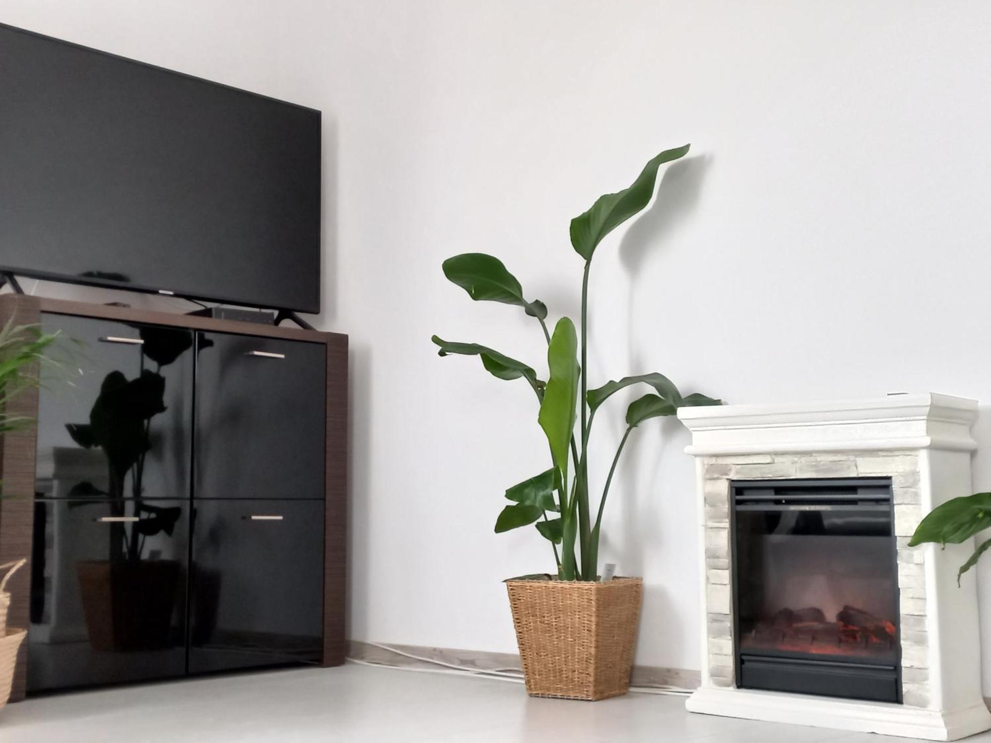 Apartament Beka Biala Podlaska Ngoại thất bức ảnh